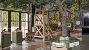 Erdő Háza Ökoturisztikai Látogatóközpont és Vadaspark