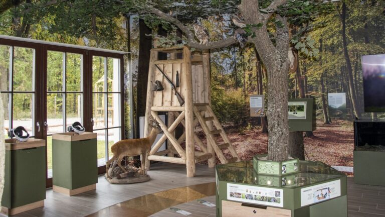 Erdő Háza Ökoturisztikai Látogatóközpont és Vadaspark